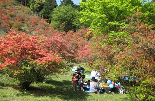 ツツジに囲まれてピクニックする人々